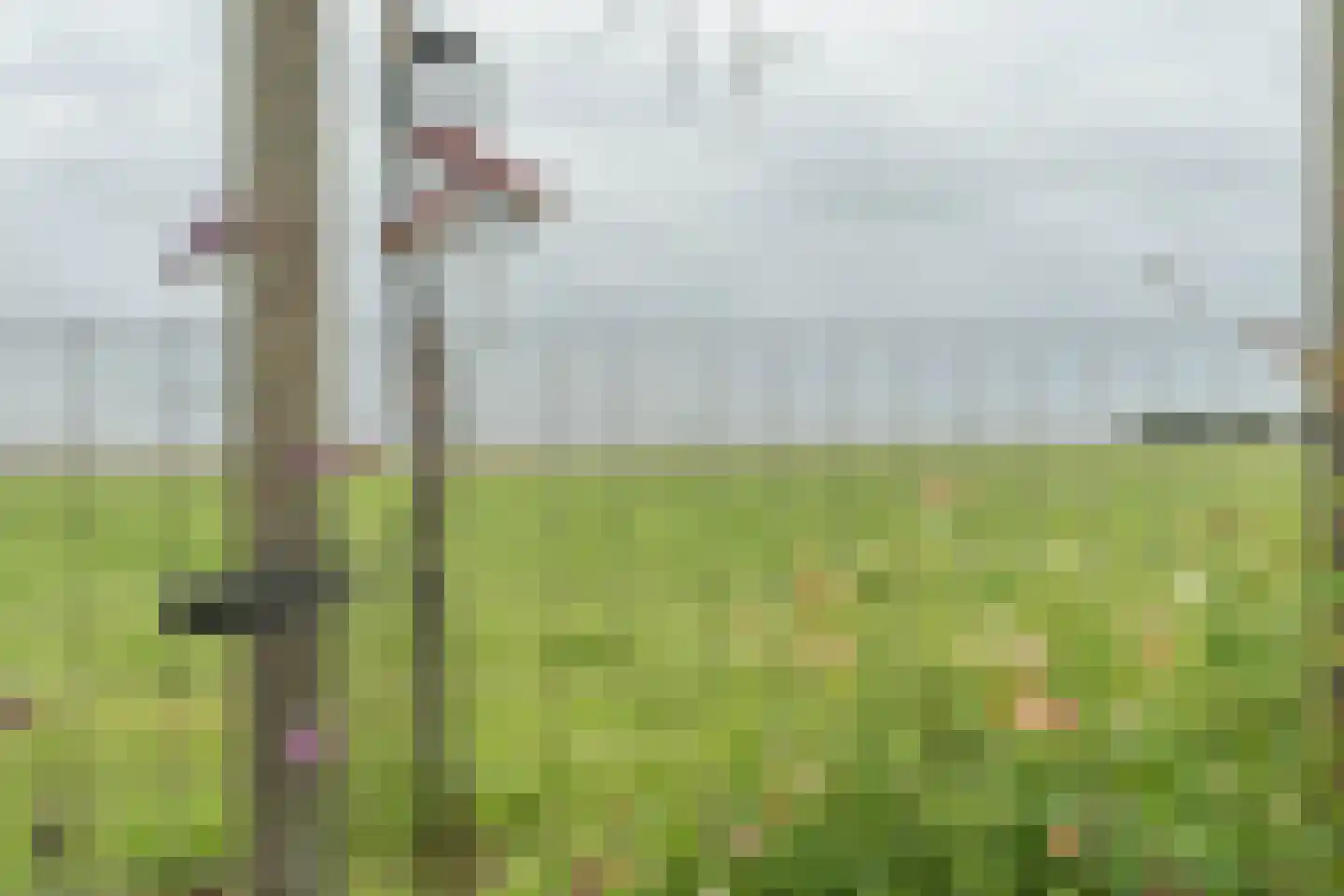 Kerkstraat 35 Stavenisse thumbnail 39