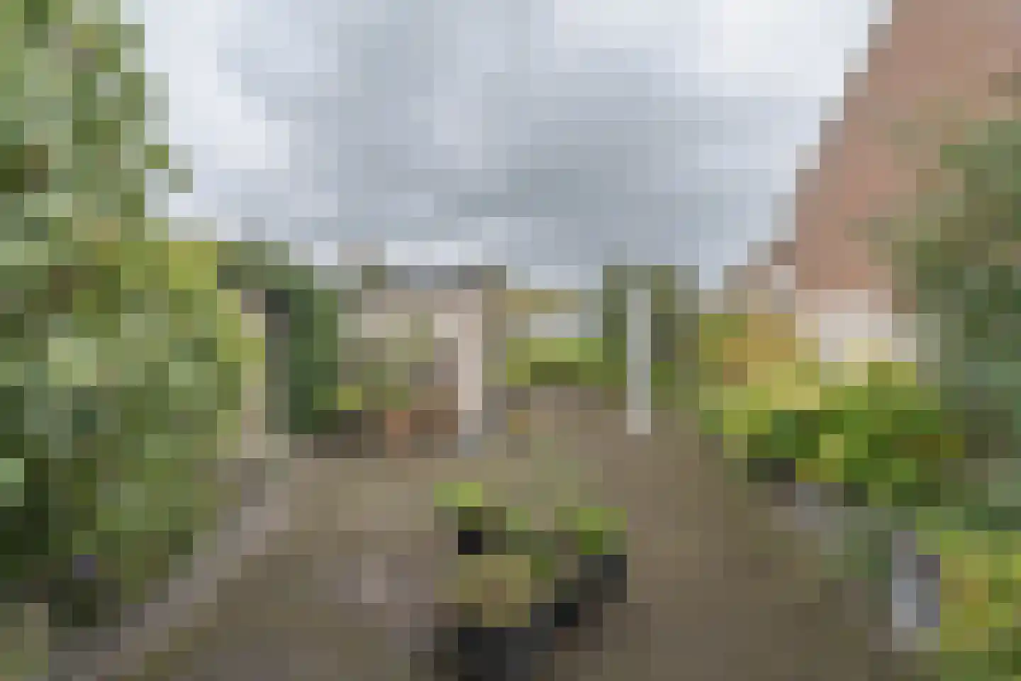Kerkstraat 35 Stavenisse thumbnail 6