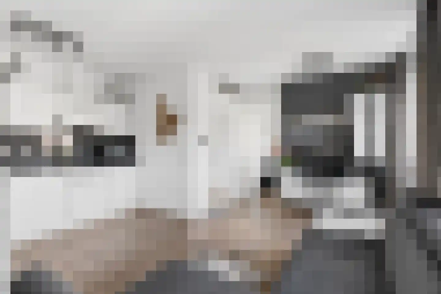 Kerkstraat 35 Tiel thumbnail 10