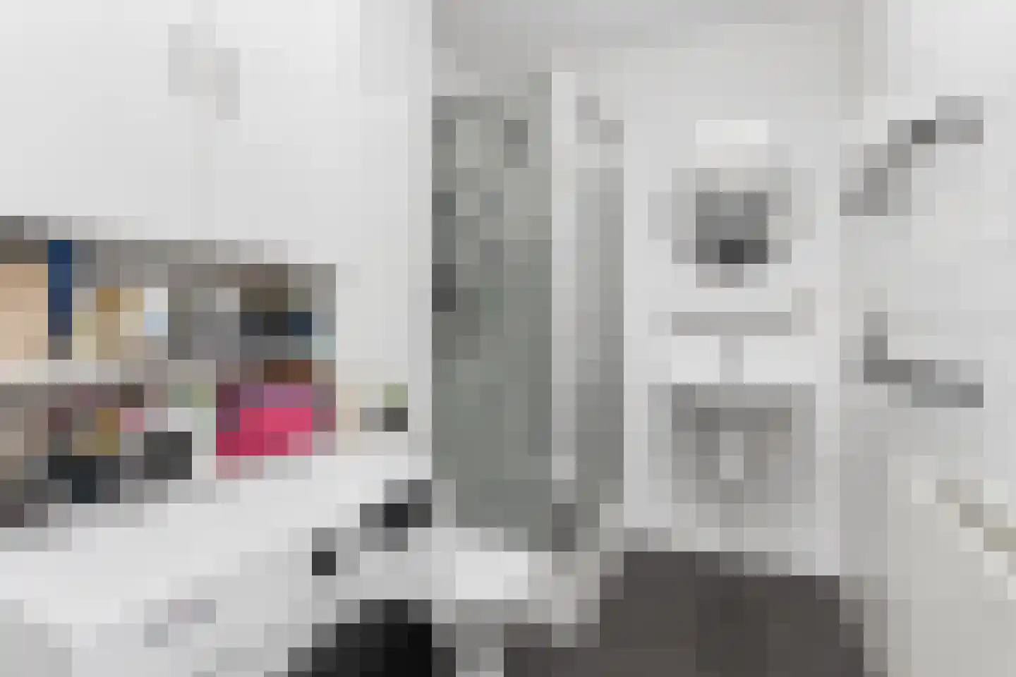 Kerkstraat 35 Tiel thumbnail 4