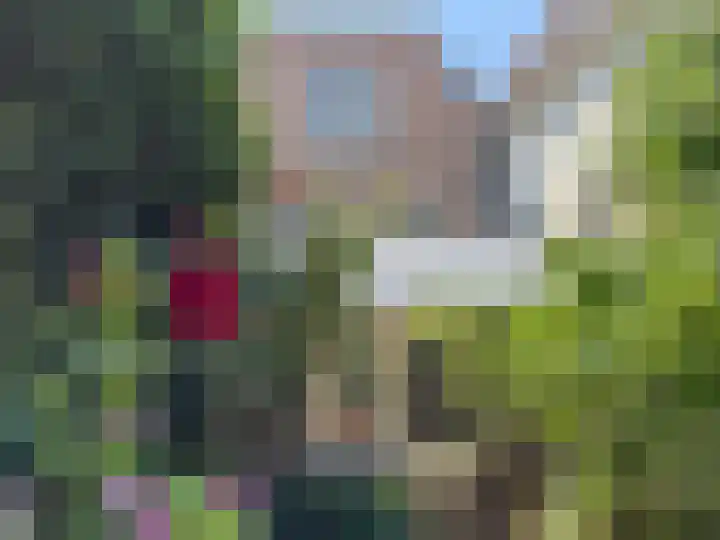 Kerkstraat 35 Zaltbommel thumbnail 33
