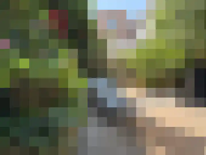 Kerkstraat 35 Zaltbommel thumbnail 34