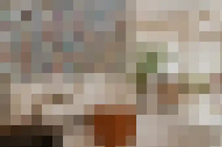Kerkstraat 35 Zaltbommel thumbnail 8