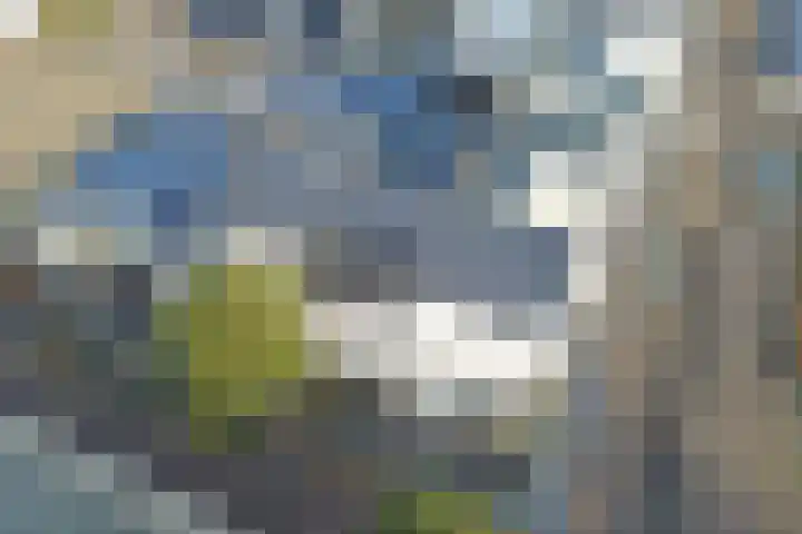 Kerkstraat 35 Zeewolde thumbnail 39