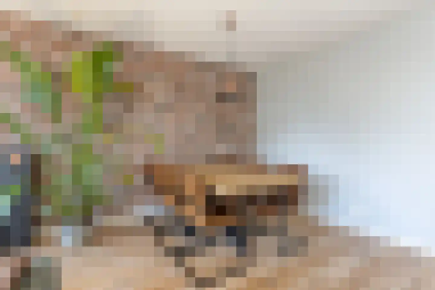 Kerkstraat 36 b Eersel thumbnail 17