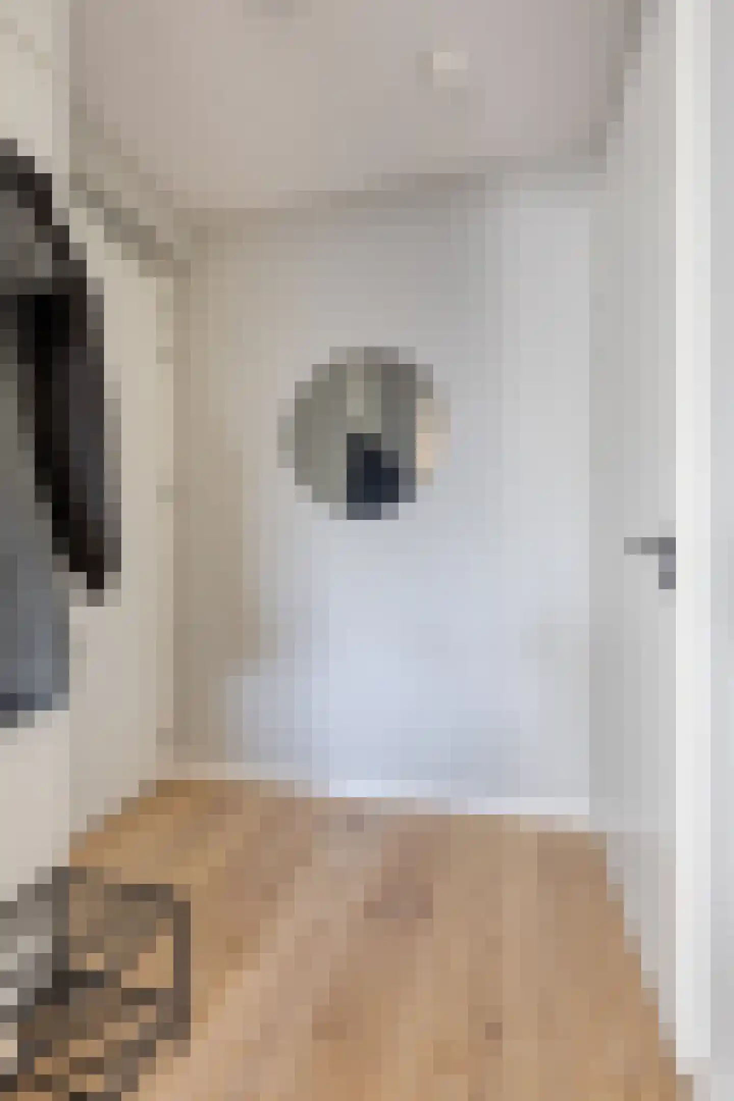 Kerkstraat 36 b Eersel thumbnail 9