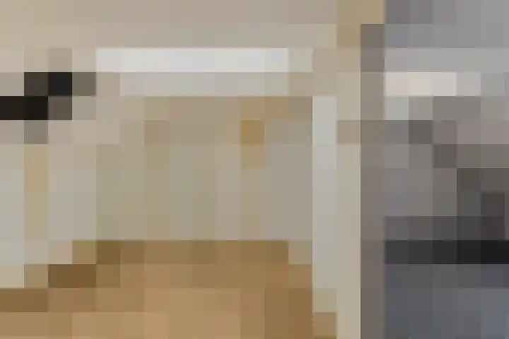 Kerkstraat 36 Goor thumbnail 22