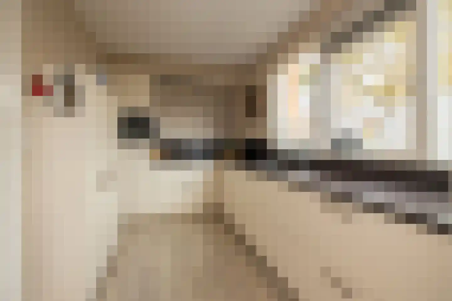 Kerkstraat 36 Kwintsheul thumbnail 12