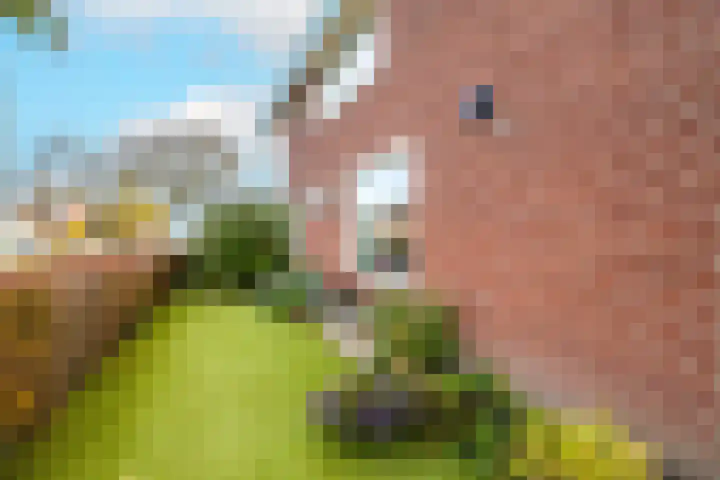 Kerkstraat 36 Kwintsheul thumbnail 38
