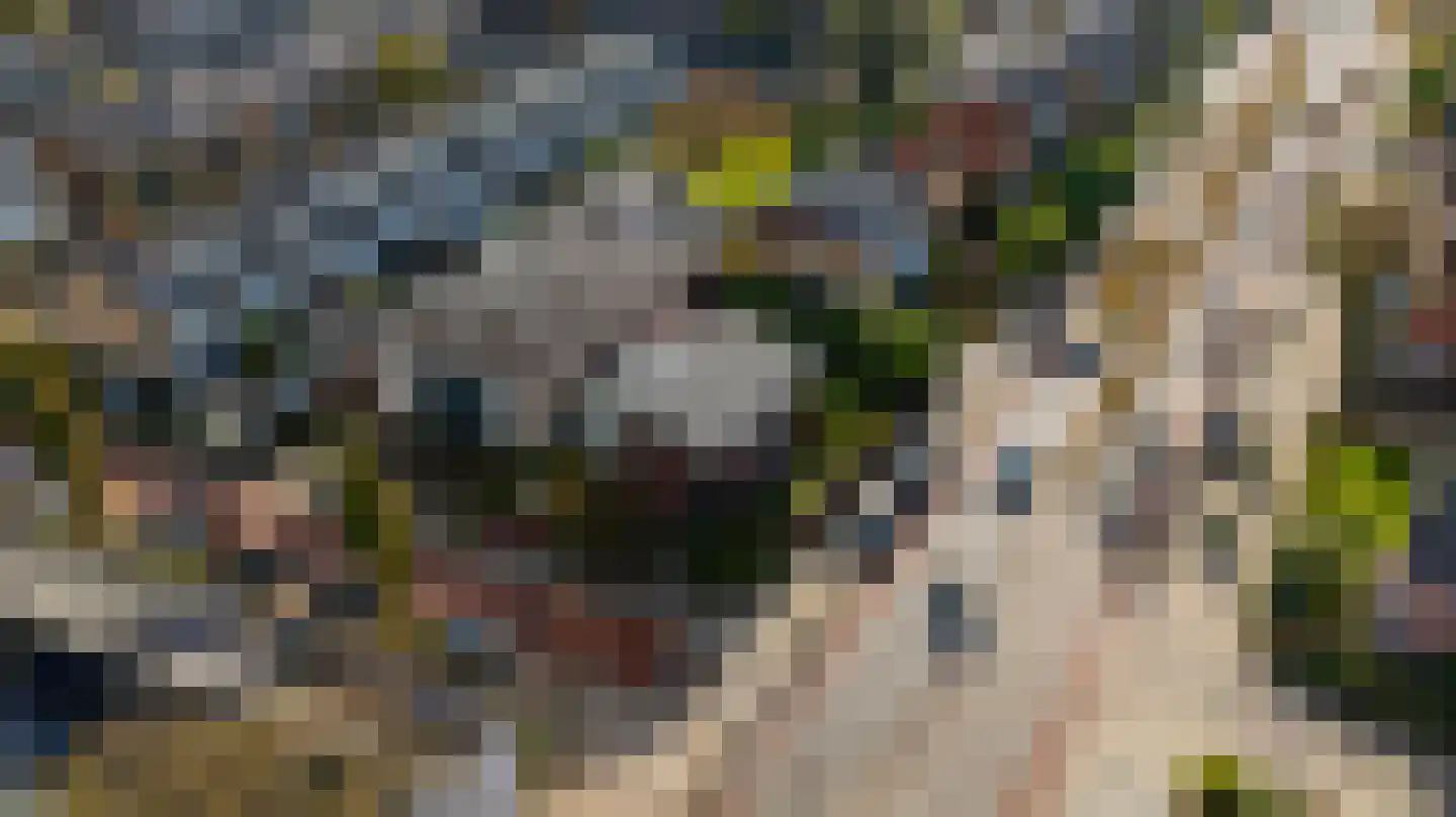 Kerkstraat 36 Kwintsheul thumbnail 44