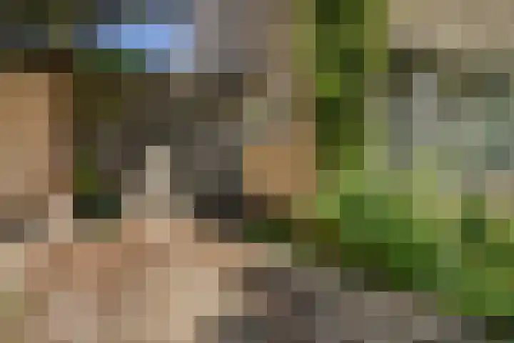 Kerkstraat 36 Nieuw-Vennep thumbnail 6