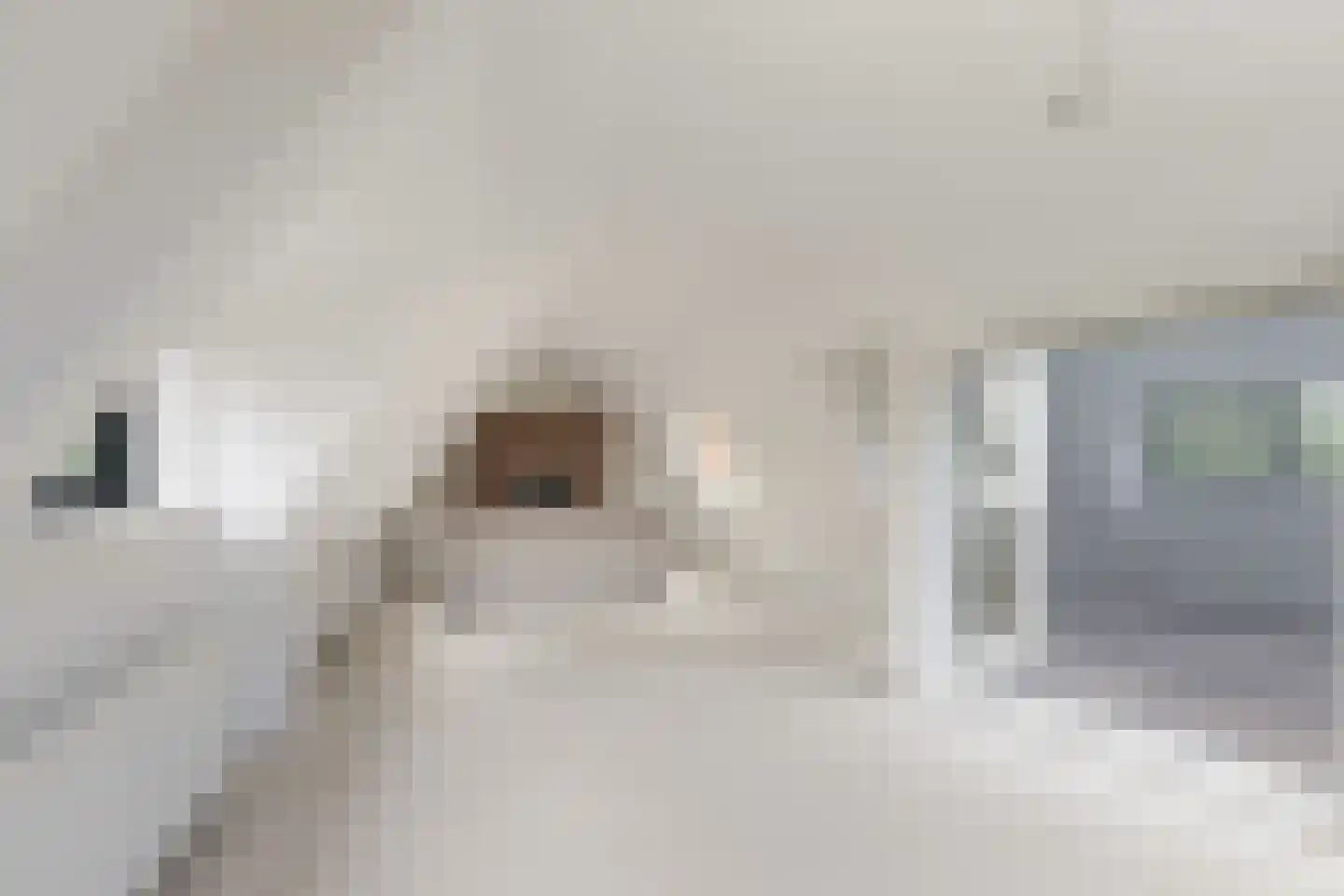 Kerkstraat 36 Zevenbergen thumbnail 22