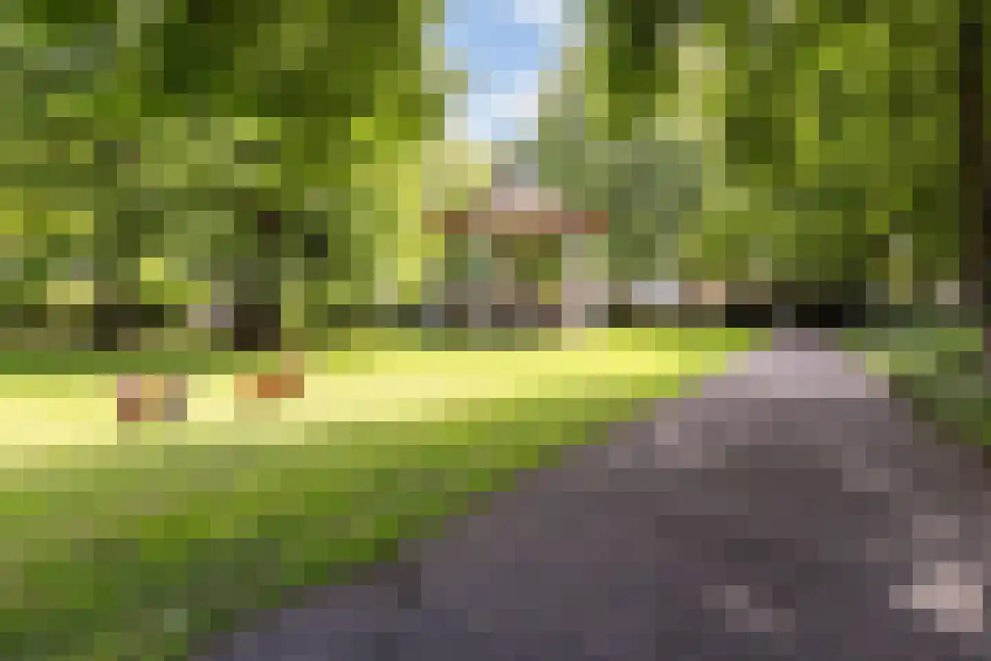 Kerkstraat 36 Zevenbergen thumbnail 32