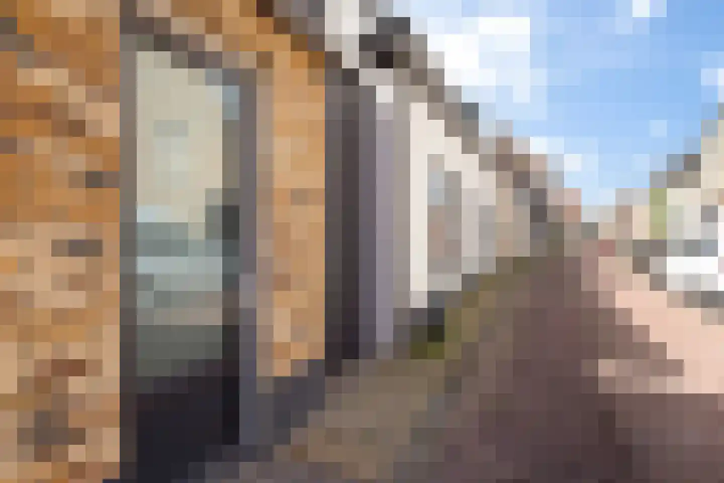 Kerkstraat 36 Zevenbergen thumbnail 5