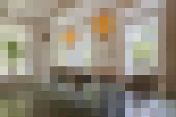 Kerkstraat 36 Zuidlaren thumbnail 26