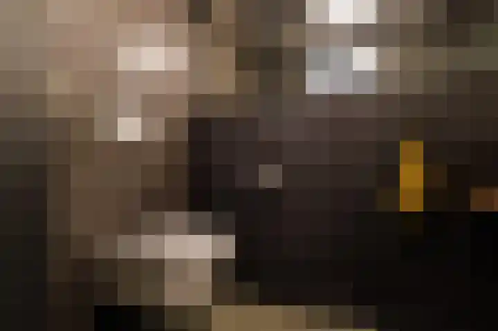Kerkstraat 36 Zuidlaren thumbnail 31