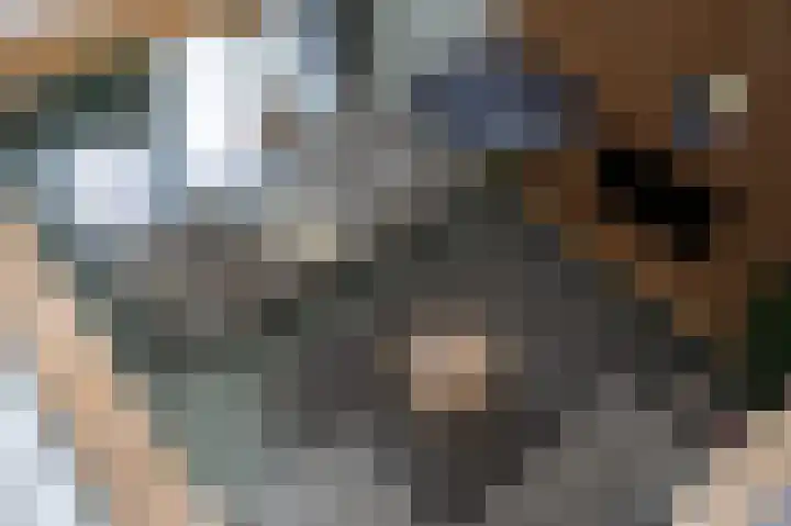 Kerkstraat 36 Zuidlaren thumbnail 69