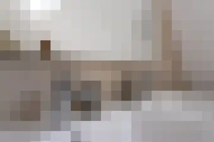 Kerkstraat 36 Zuidlaren thumbnail 79