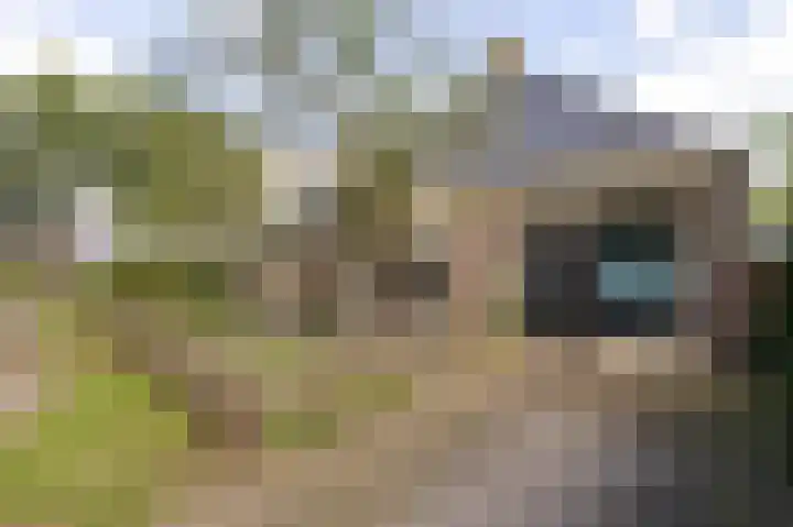 Kerkstraat 36 Zuidlaren thumbnail 8