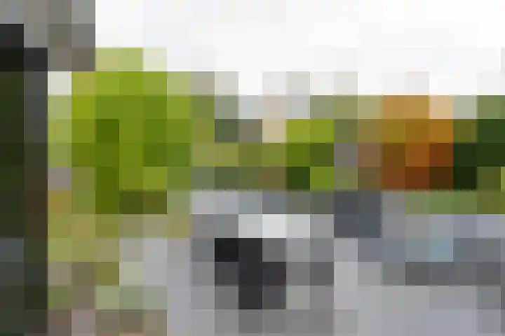Kerkstraat 37 A Noordwijkerhout thumbnail 16