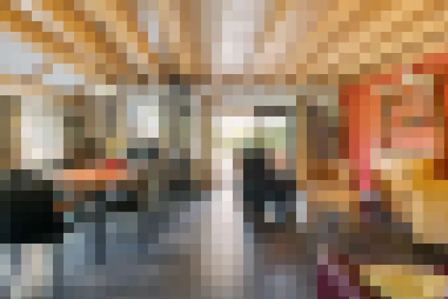 Kerkstraat 37 A Schijndel thumbnail 34