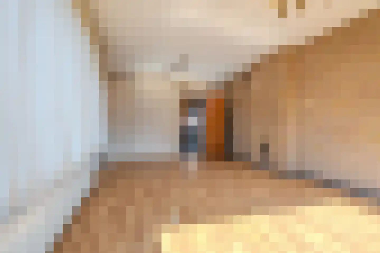 Kerkstraat 37 A Wagenborgen thumbnail 22