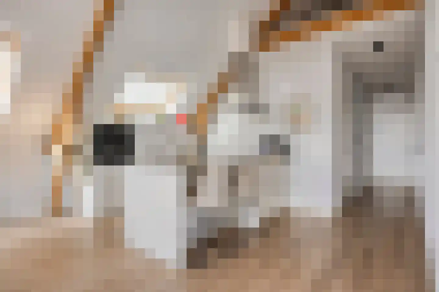 Kerkstraat 37 B Helmond thumbnail 4