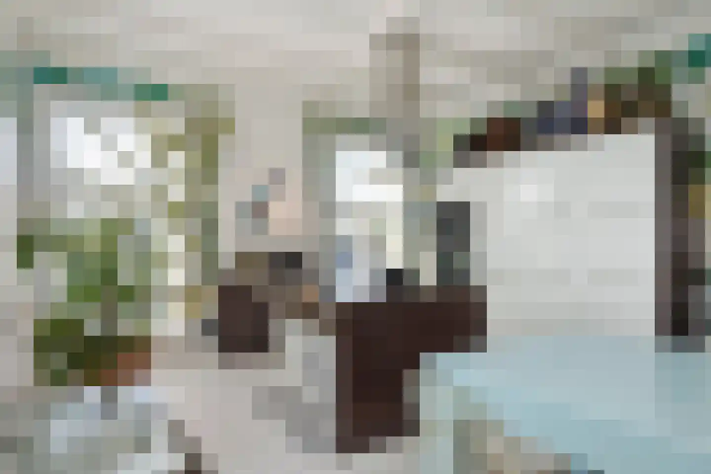 Kerkstraat 37 Giesbeek thumbnail 22