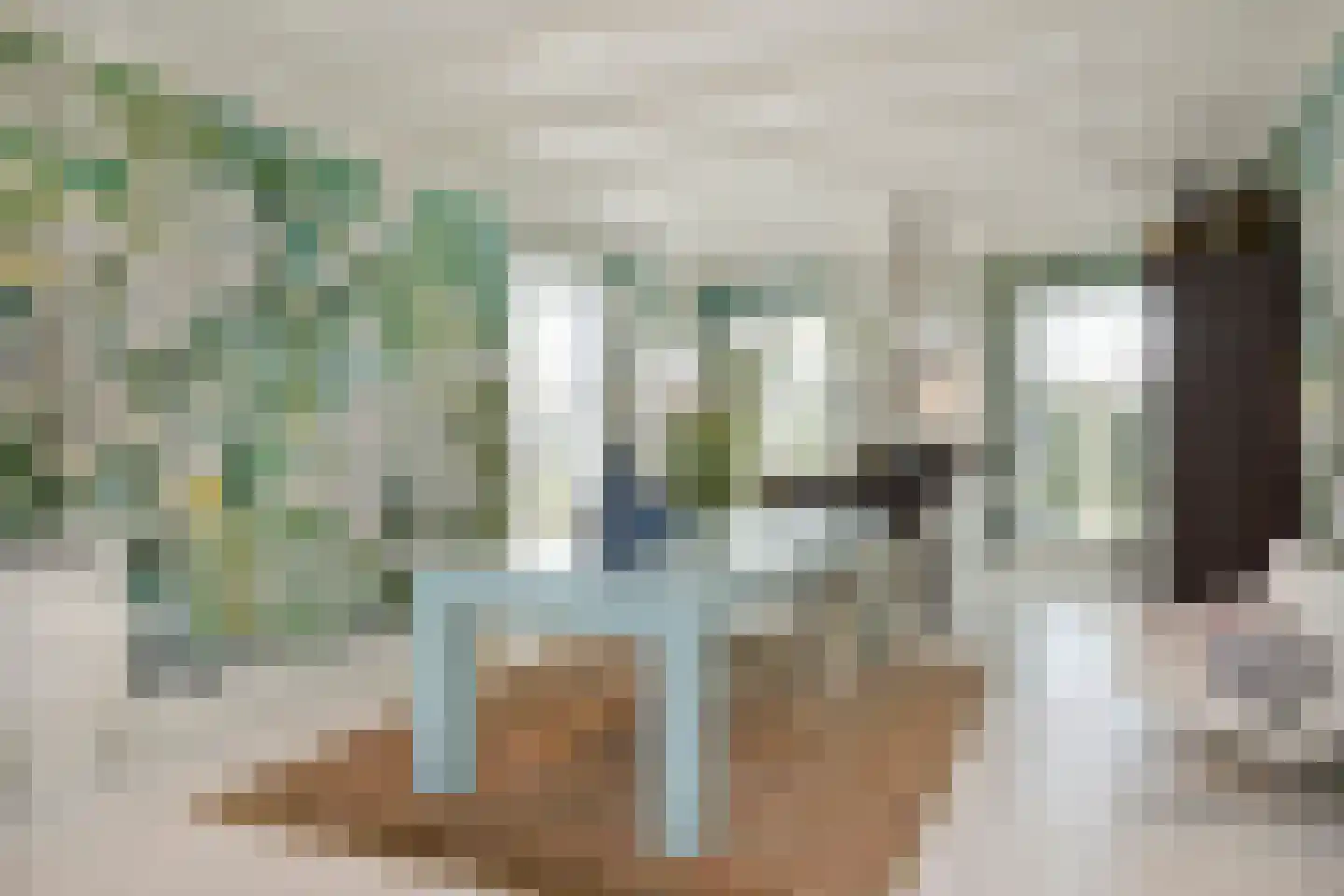 Kerkstraat 37 Giesbeek thumbnail 26