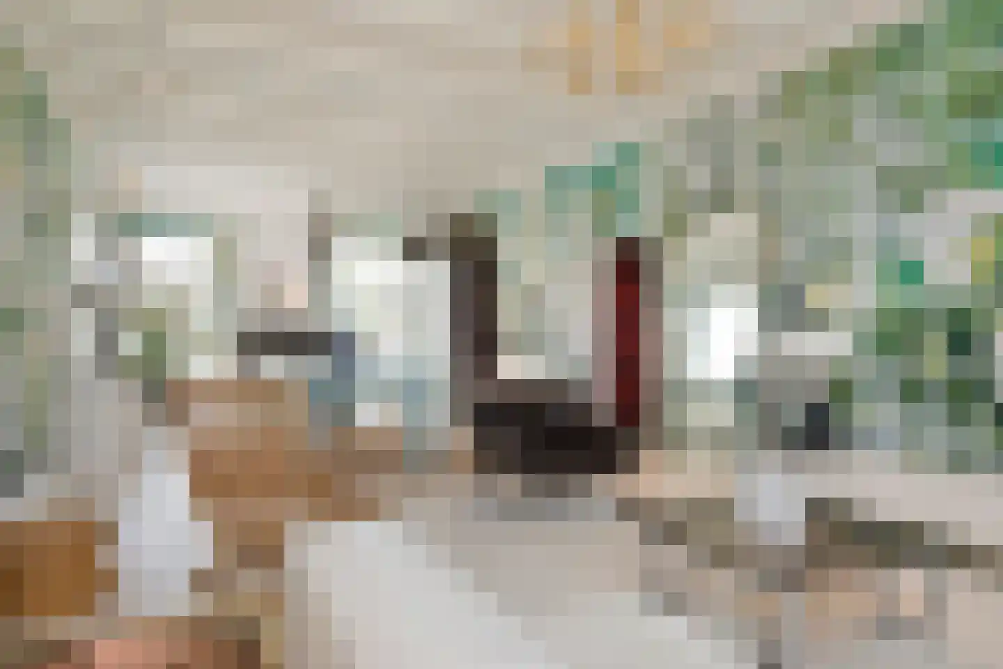 Kerkstraat 37 Giesbeek thumbnail 28