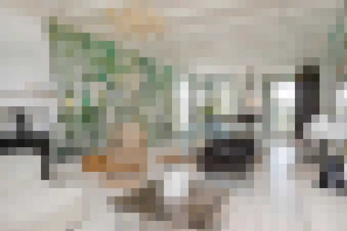Kerkstraat 37 Giesbeek thumbnail 31