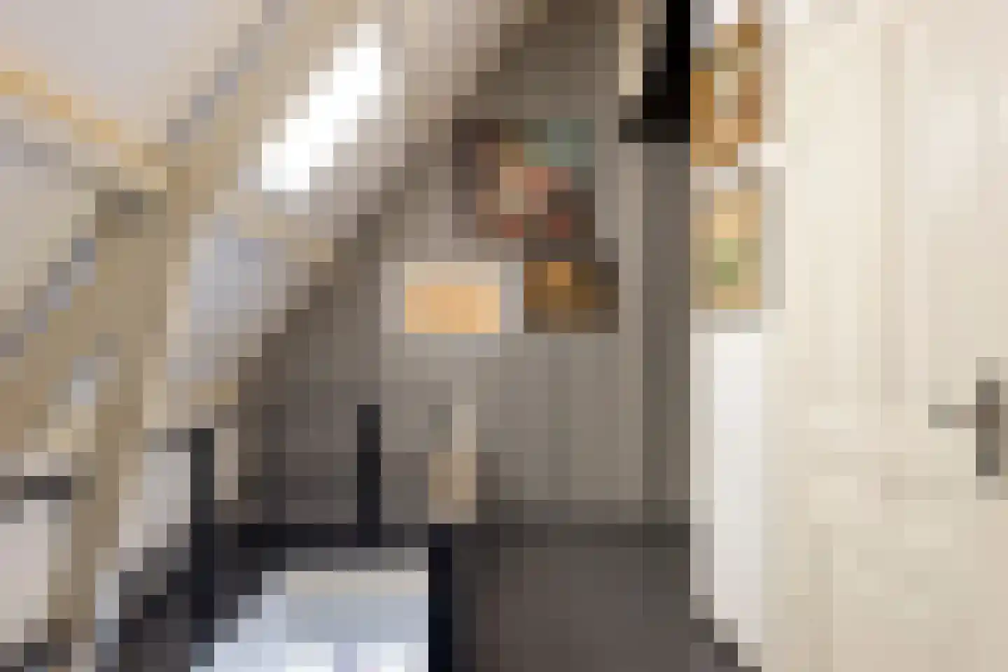 Kerkstraat 37 Giesbeek thumbnail 45
