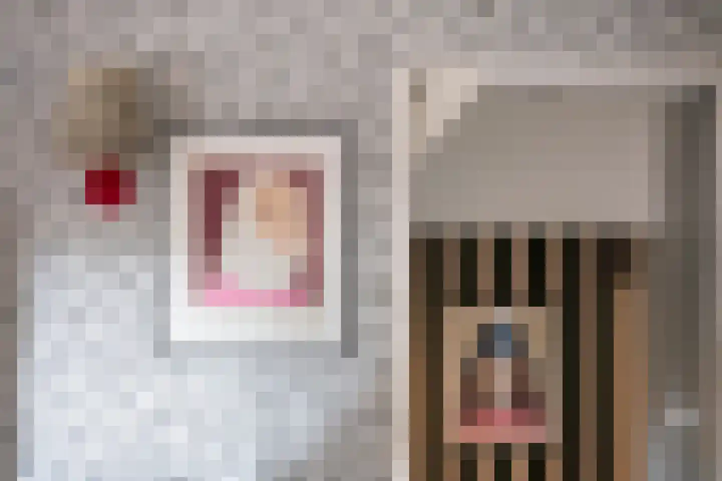 Kerkstraat 37 Giesbeek thumbnail 51