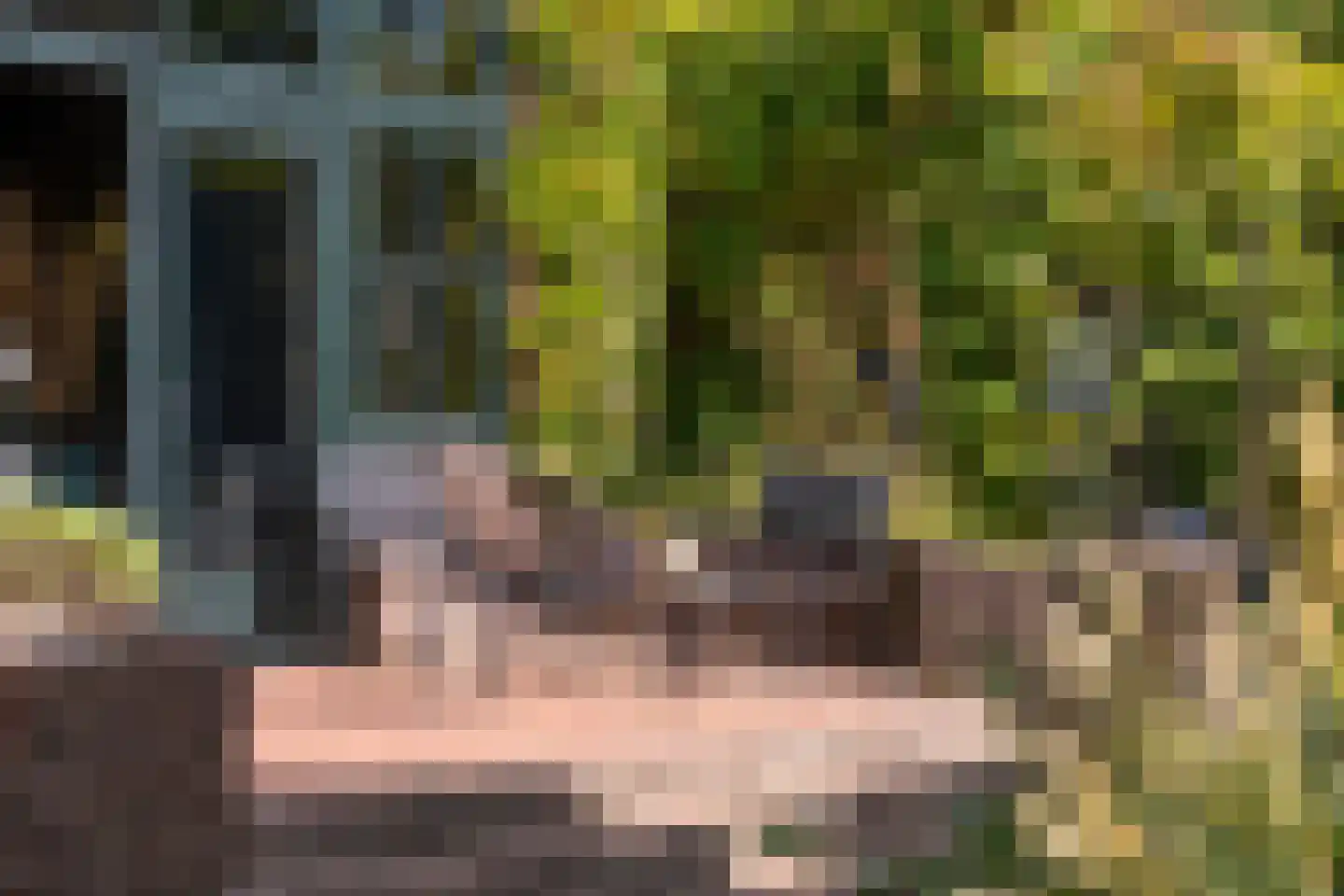 Kerkstraat 37 Giesbeek thumbnail 63