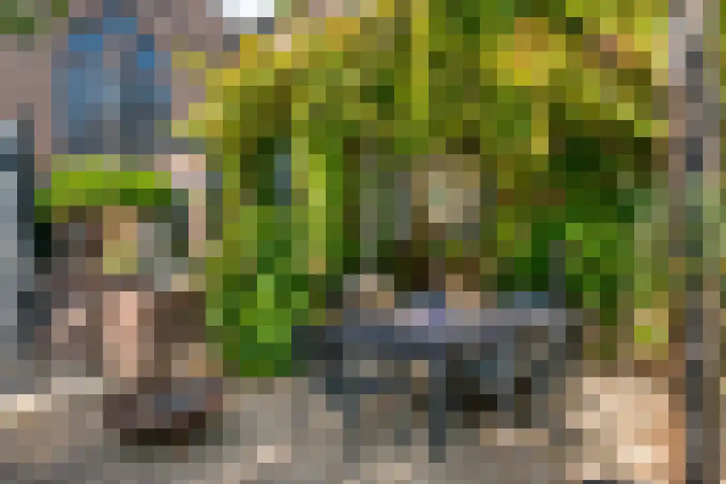 Kerkstraat 37 Giesbeek thumbnail 64