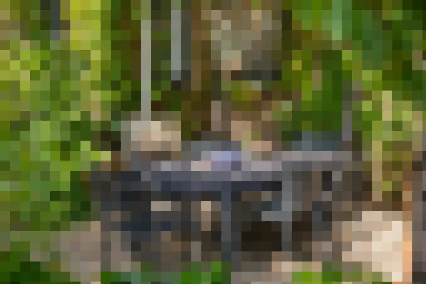 Kerkstraat 37 Giesbeek thumbnail 65