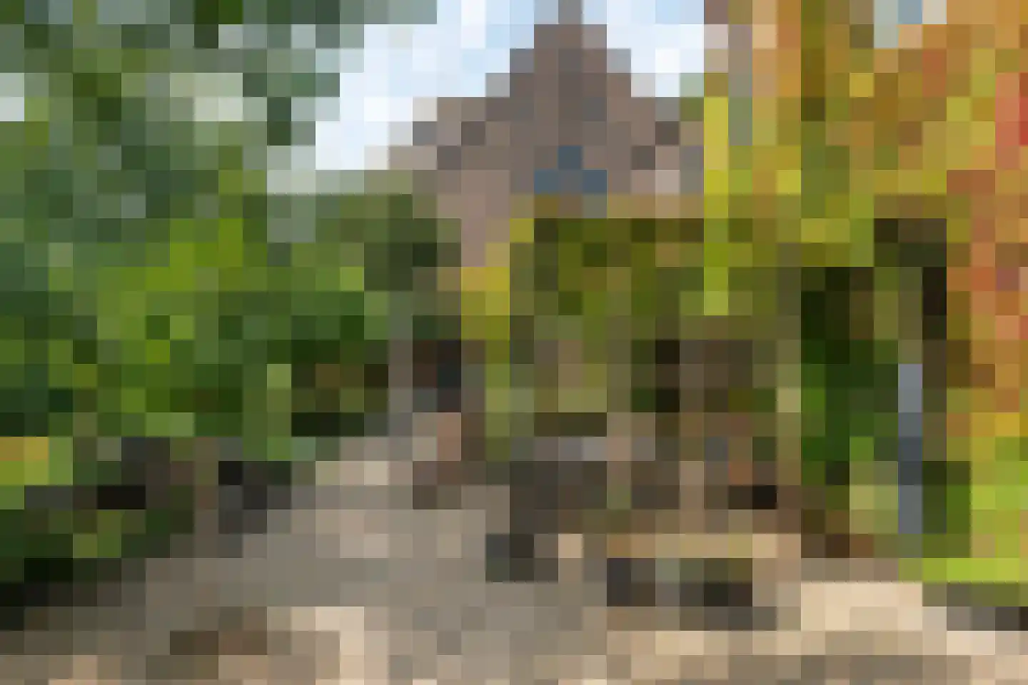 Kerkstraat 37 Giesbeek thumbnail 66