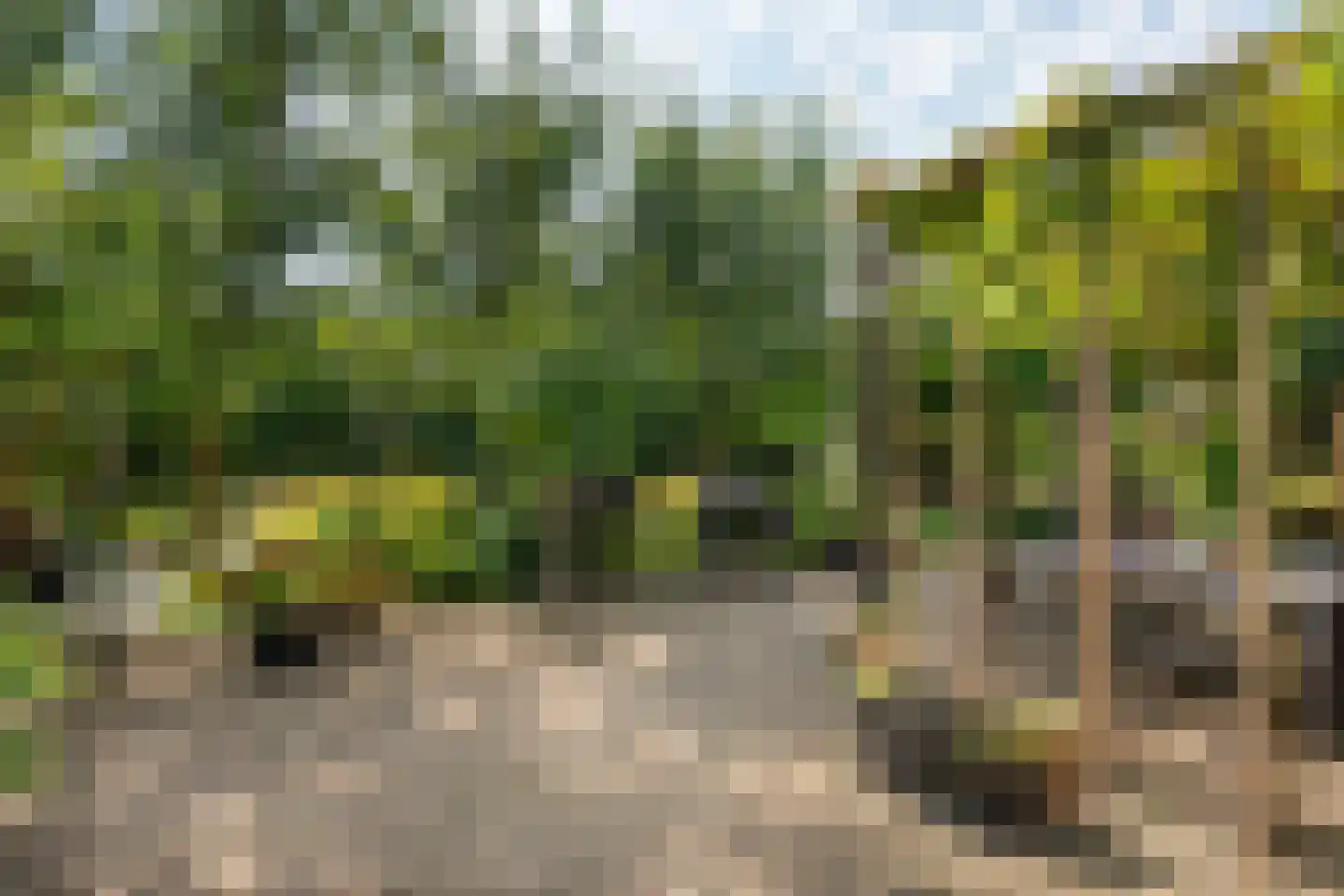 Kerkstraat 37 Giesbeek thumbnail 67