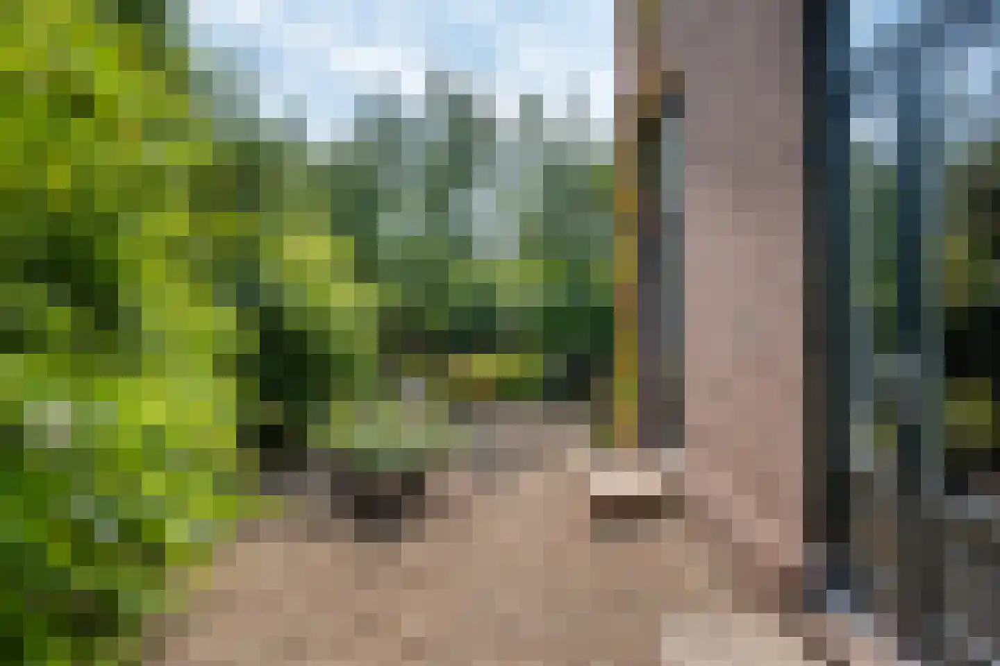 Kerkstraat 37 Giesbeek thumbnail 69