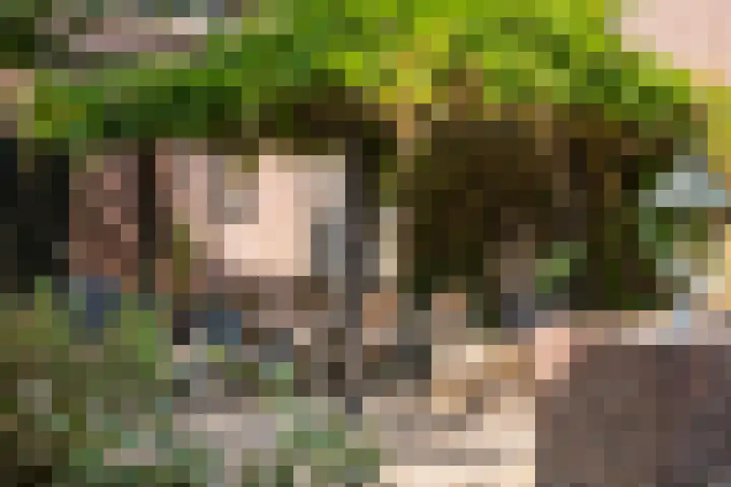 Kerkstraat 37 Giesbeek thumbnail 70