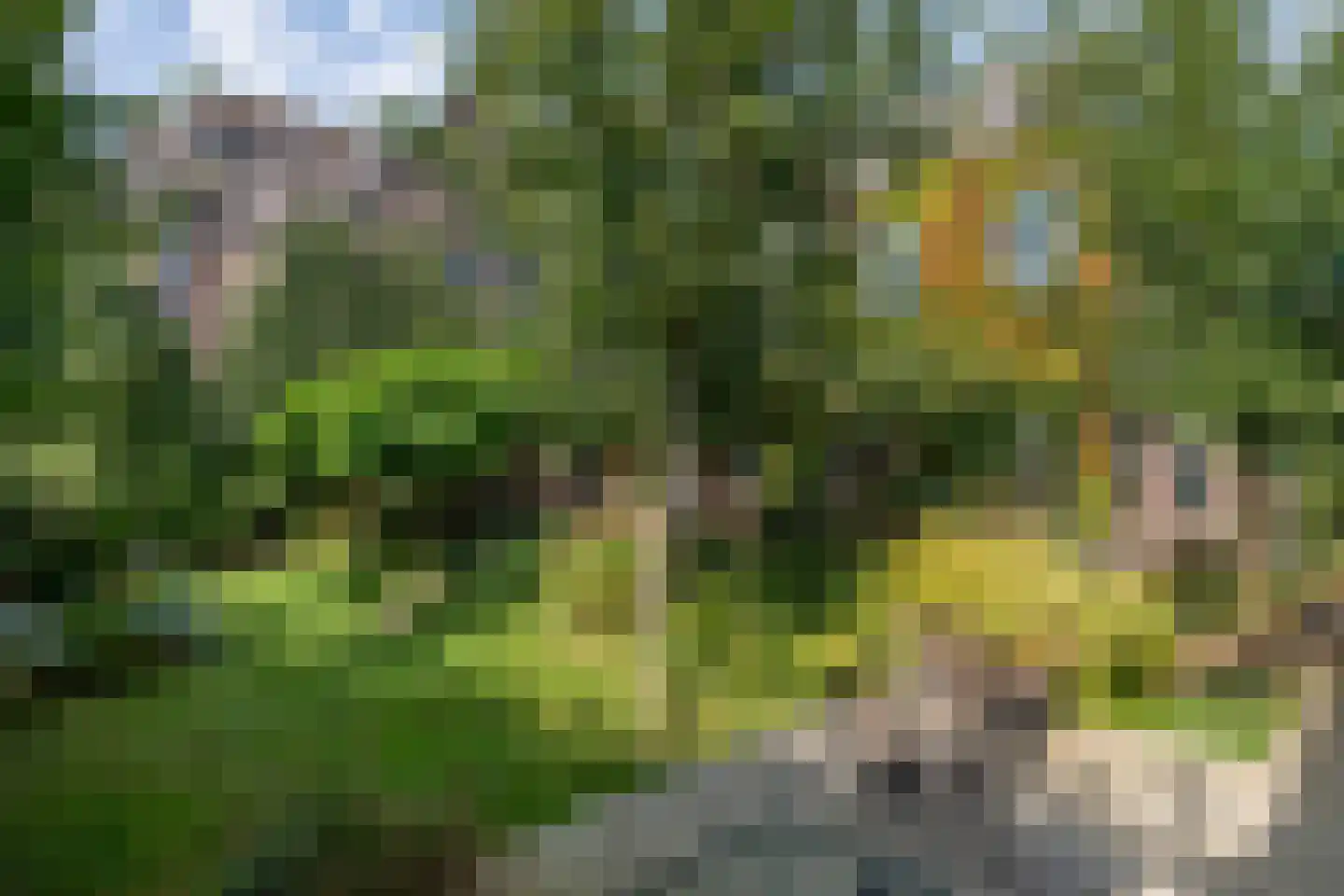 Kerkstraat 37 Giesbeek thumbnail 71