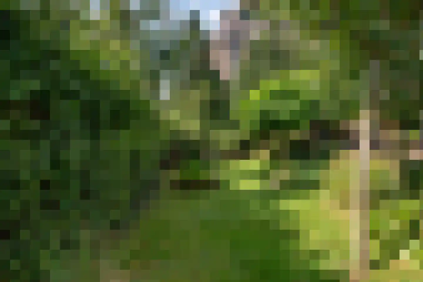 Kerkstraat 37 Giesbeek thumbnail 72