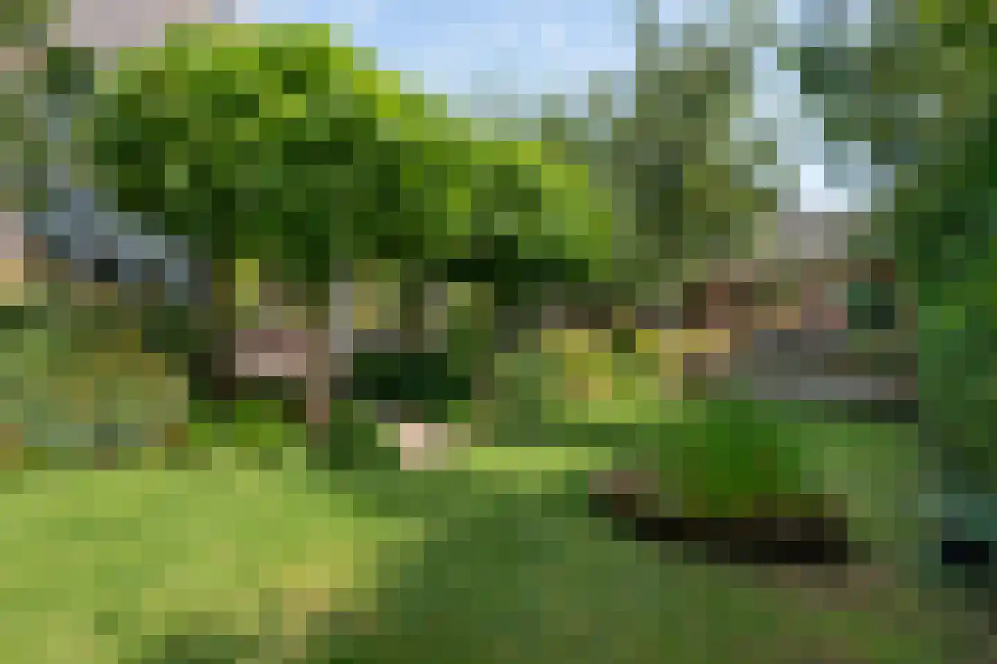 Kerkstraat 37 Giesbeek thumbnail 73