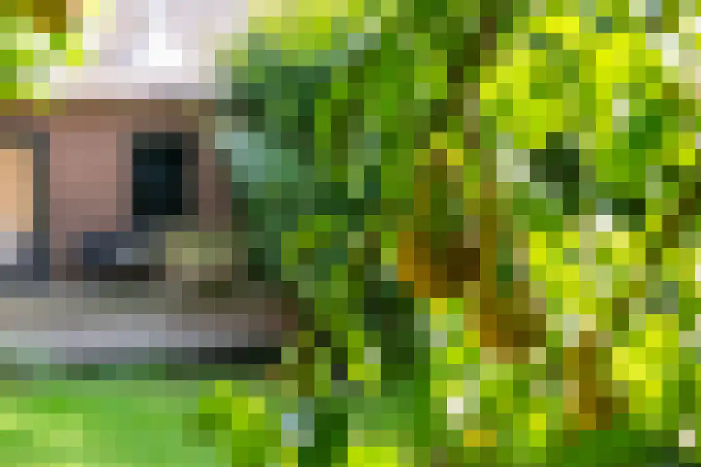 Kerkstraat 37 Giesbeek thumbnail 75