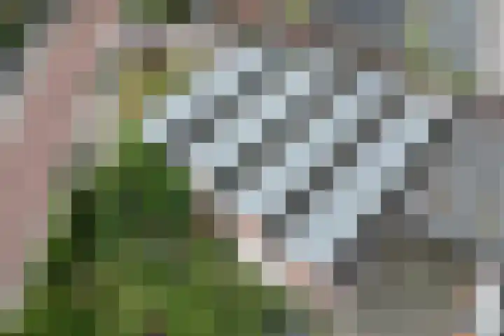 Kerkstraat 37 Harreveld thumbnail 34