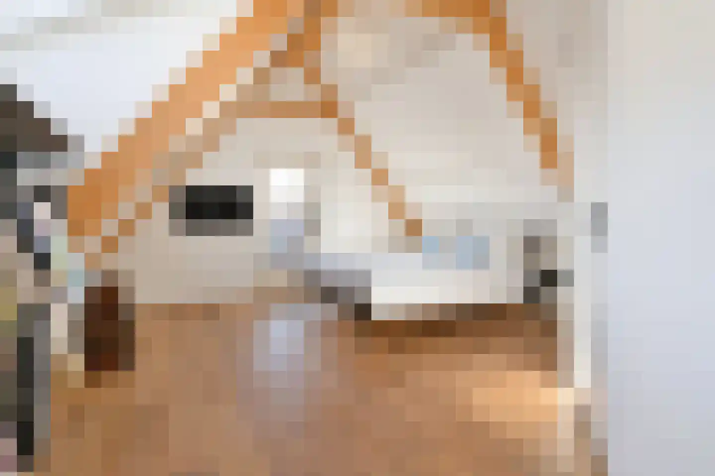 Kerkstraat 37 Oud-Beijerland thumbnail 30