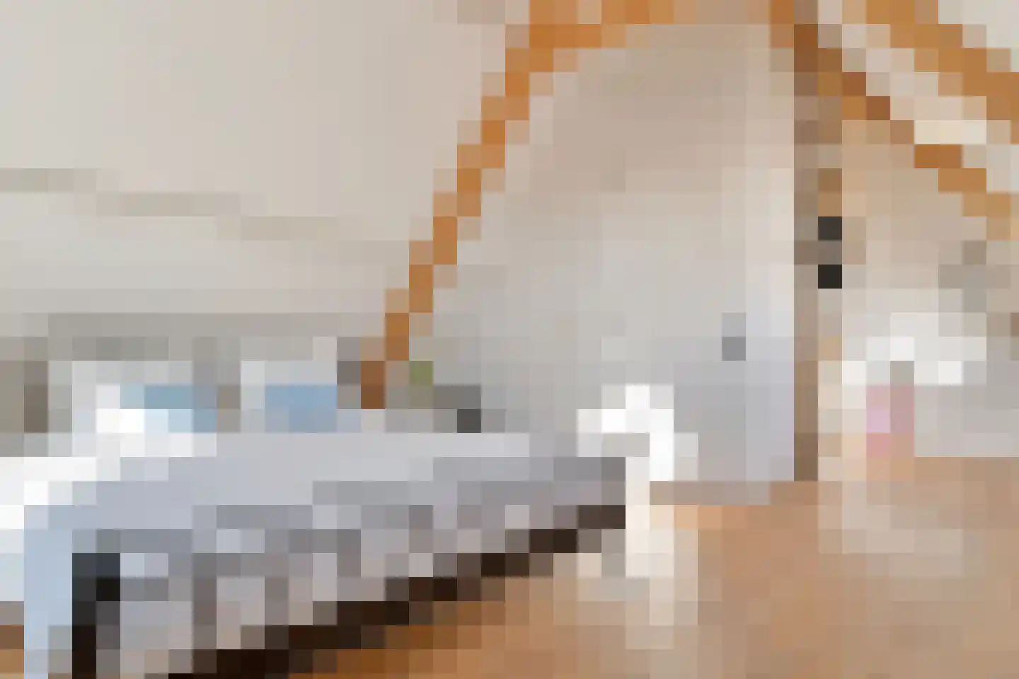 Kerkstraat 37 Oud-Beijerland thumbnail 33