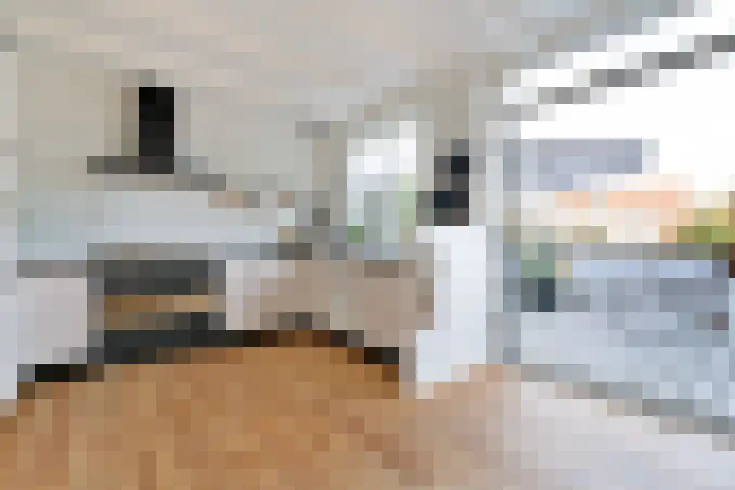 Kerkstraat 37 Oud-Beijerland thumbnail 4