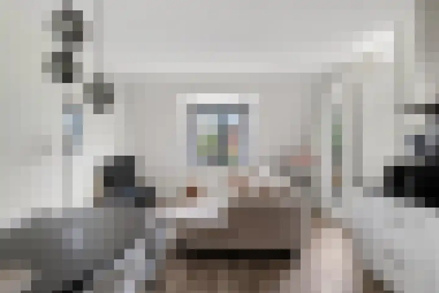 Kerkstraat 38 a Eersel thumbnail 12
