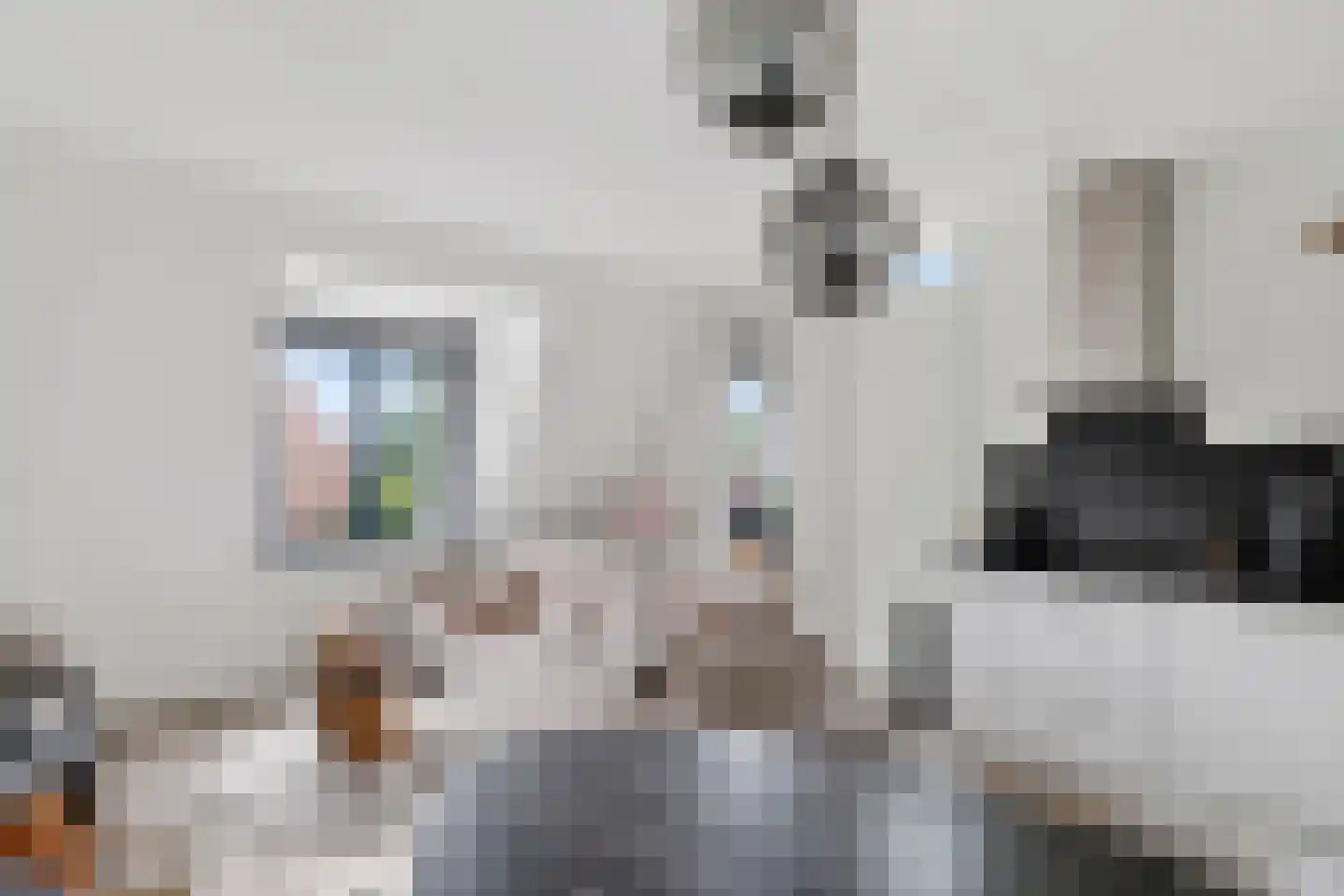 Kerkstraat 38 a Eersel thumbnail 19